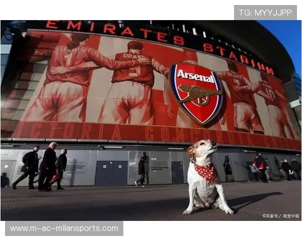 诺丁汉森林：状态回暖迹象